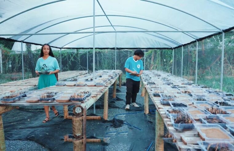 Unimontes abre inscrições para disciplinas isoladas em botânica aplicada