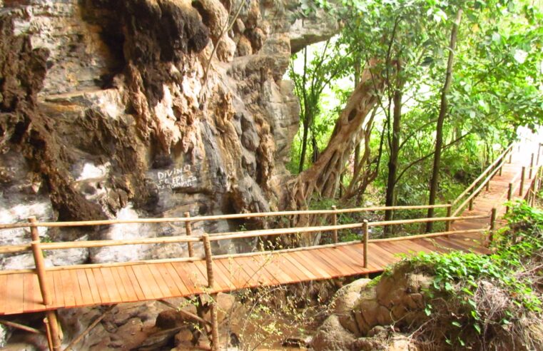 Exposição celebra os 20 anos do Parque da Lapa Grande