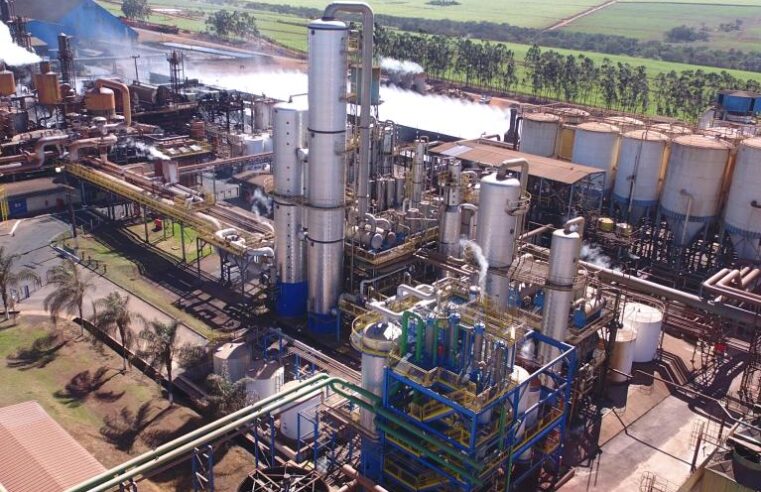 SETOR SUCROENERGÉTICO BRASILEIRO | Minas Gerais deve registrar safra recorde de cana-de-açúcar