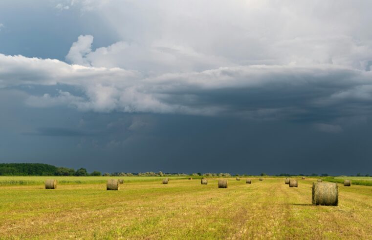 Chuvas de maio trazem alívio ao agro e renovam expectativa de produtores no Norte de Minas
