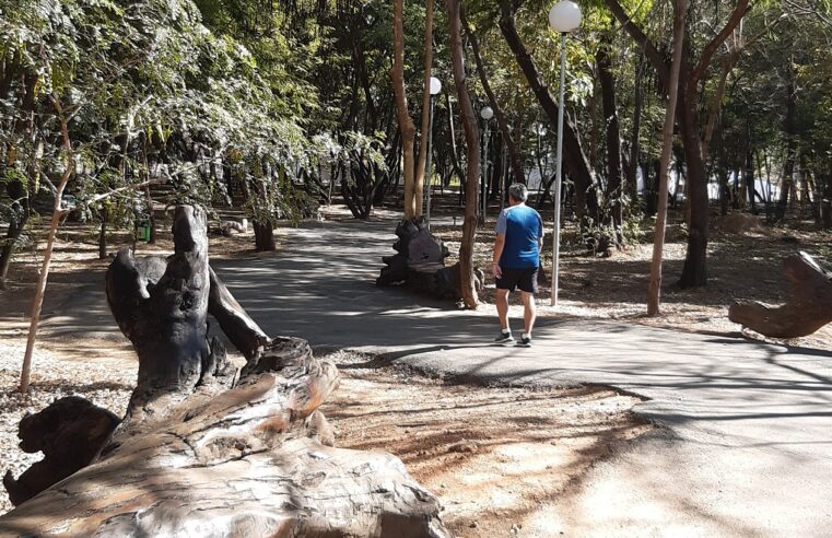 Prefeitura investe em arborização para melhorar a qualidade de vida dos cidadãos