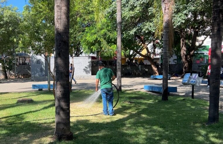 VERDE VIVO | Prefeitura intensifica irrigação e mantém áreas verdes mais bonitas em Montes Claros