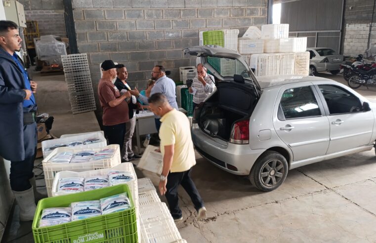 Alimento e solidariedade: mais de 40 mil pessoas recebem iogurte em ação social