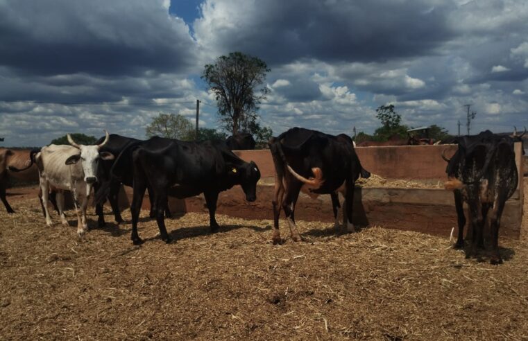 NORTE DE MINAS | Turismo rural se apresenta como alternativa aos dias de folia