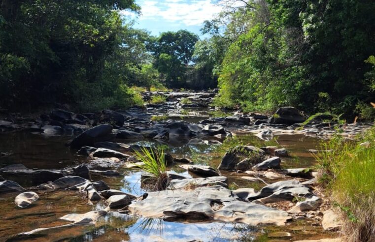 DESPERTAR DA NATUREZA | Alunos da escola municipal de canto do engenho vivem experiência ambiental em campo