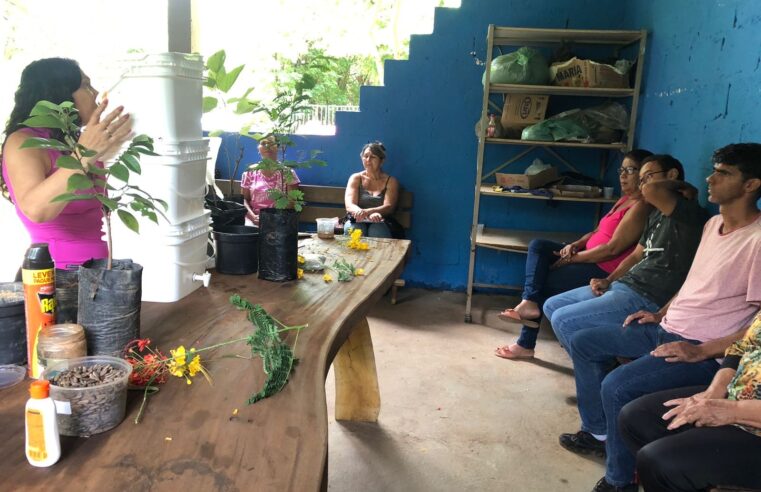 Montes Claros promove colônia de férias com atividades especiais para o público 60+ e foco na educação ambiental