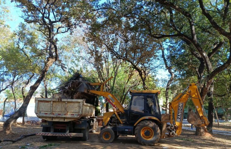 QUEM AMA CUIDA | Áreas verdes bem cuidadas garantem qualidade de vida em Montes Claros