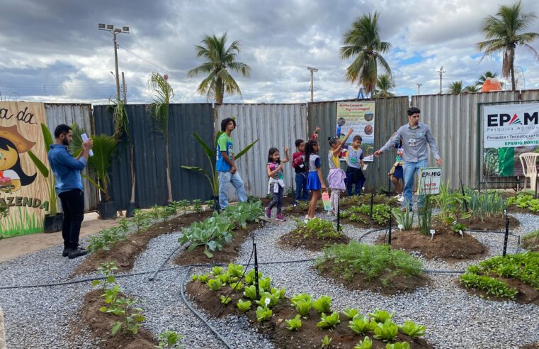 EXPOMONTES 2026 | Inscrições para Minifazenda são abertas e projeta receber mais de 5 mil estudantes