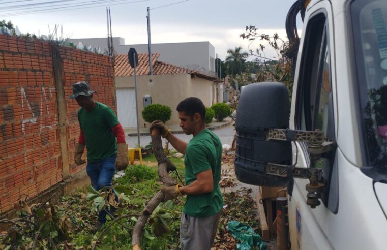 Prevenindo acidentes, Prefeitura intensifica recolhimento de árvores caídas em Montes Claros