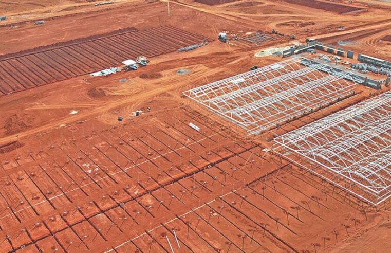 MACAÚBA: UM DOS COMBUSTÍVEIS DO FUTURO | Montes Claros na vanguarda da transição energética