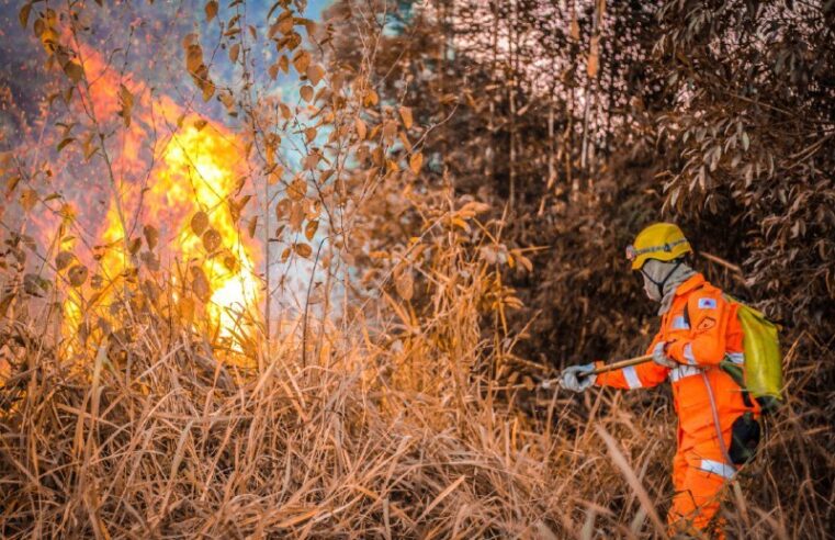 Corpo de Bombeiros investe em ações para reduzir focos de incêndio em Minas