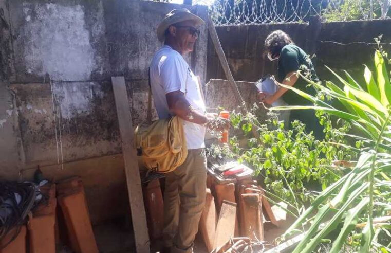 Força Estadual mobiliza população em Buritizeiro para redução de casos de dengue