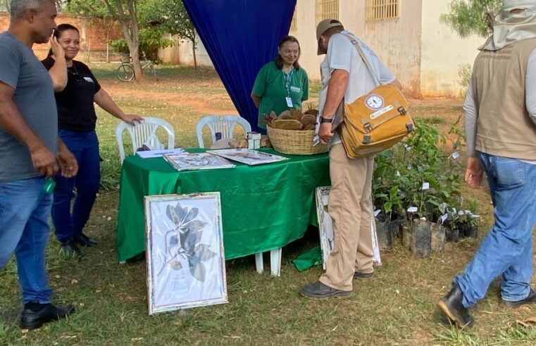 Mutirão une forças contra o Aedes e promove conscientização ambiental em Montes Claros