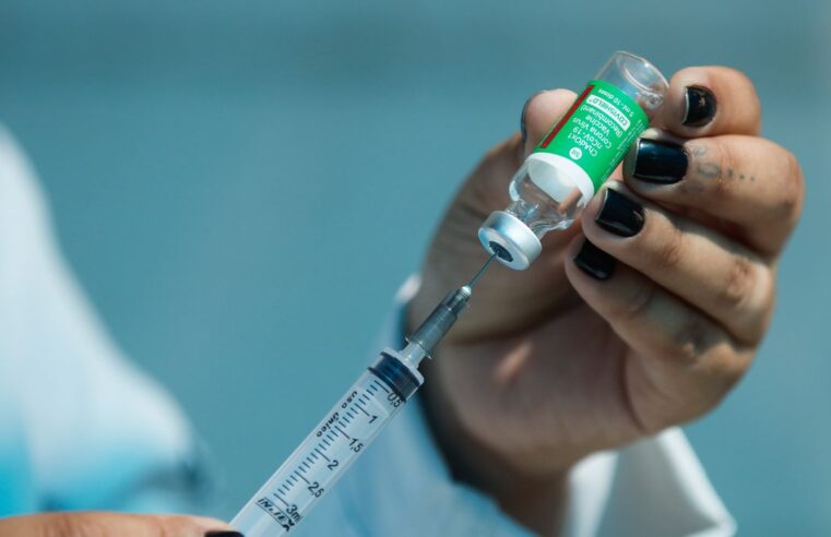 Vacinação contra febre aftosa começa no dia 1º de maio em Minas