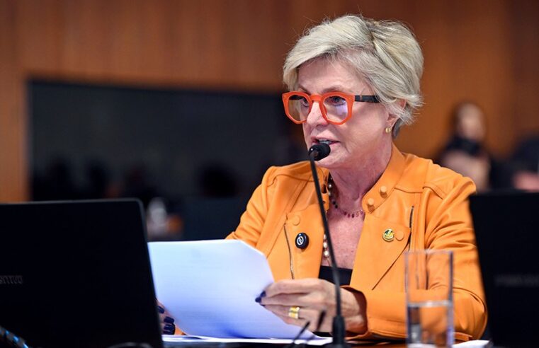 Transporte de animais: novas regras definem responsabilidades