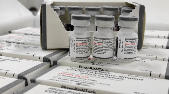 SRS orienta municípios para aplicação da vacina bivalente contra a Covid-19