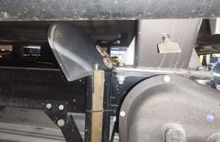 Bombeiros de Montes Claros atendem ocorrências com serpentes e reforçam alerta à população