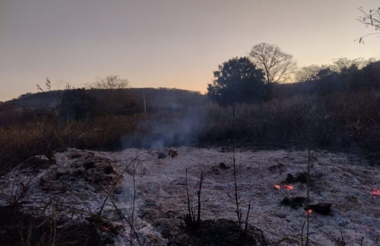 Incêndio destrói cerca de seis hectares de plantação de milho