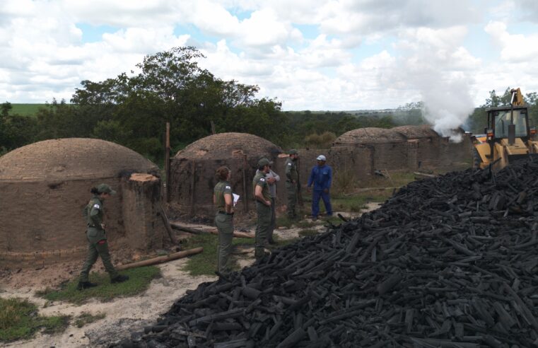 Minas Gerais amplia transparência com novo relatório de fiscalização ambiental moderno e interativo