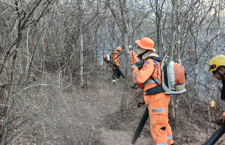 Incêndio próximo ao Residencial Sul atinge cerca de 18 hectares em Montes Claros