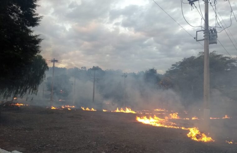 Cemig registra quase 2 mil alertas de incêndio próximos à rede elétrica no 1º semestre de 2025