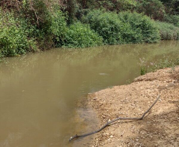 Homem morre afogado durante pescaria em rio de Capitão Enéas