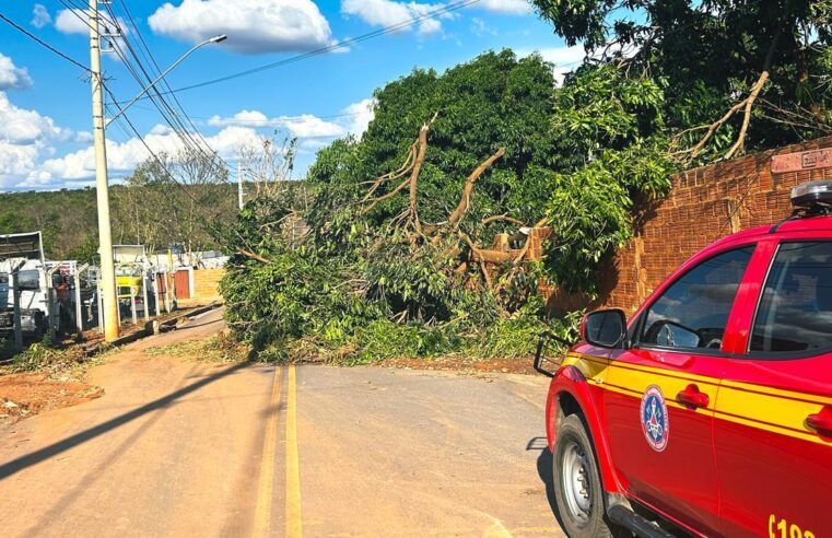 Bombeiros intensificam atendimentos após vendaval em Montes Claros