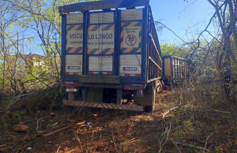 Caminhão boiadeiro sai da pista e pega fogo na MGC-122 em Janaúba