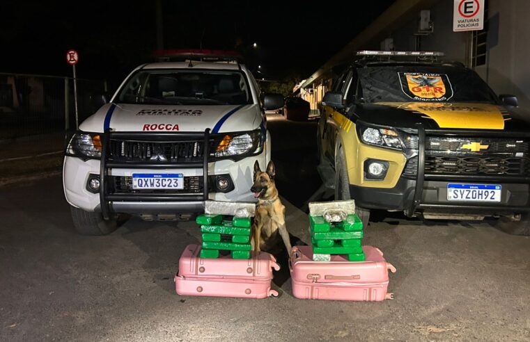 Polícia apreende jovem com drogas na LMG-653