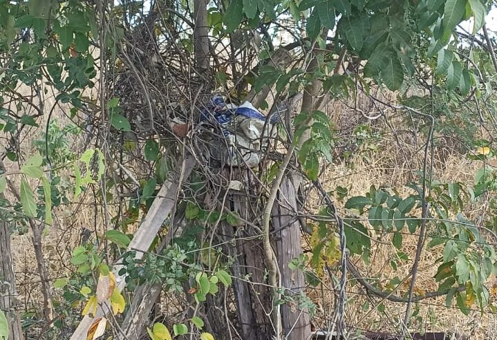 Crime brutal choca comunidade rural de Ponto Chique