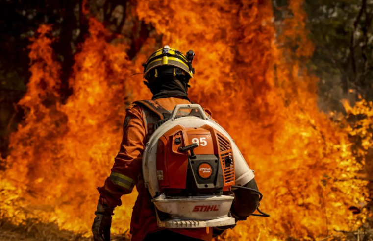 ‘Qualquer incêndio’ atual tem intenção criminosa, dispara Marina Silva