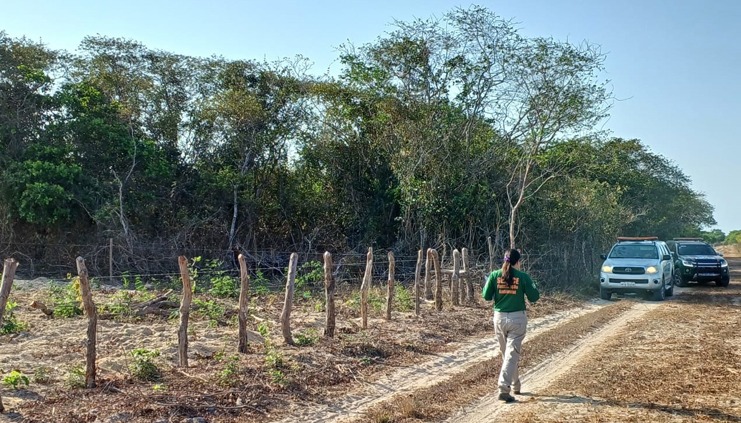 NOVA EDIÇÃO DA OPERAÇÃO MATA ATLÂNTICA EM PÉ | Fiscalizações em Minas Gerais visam reduzir o desmatamento