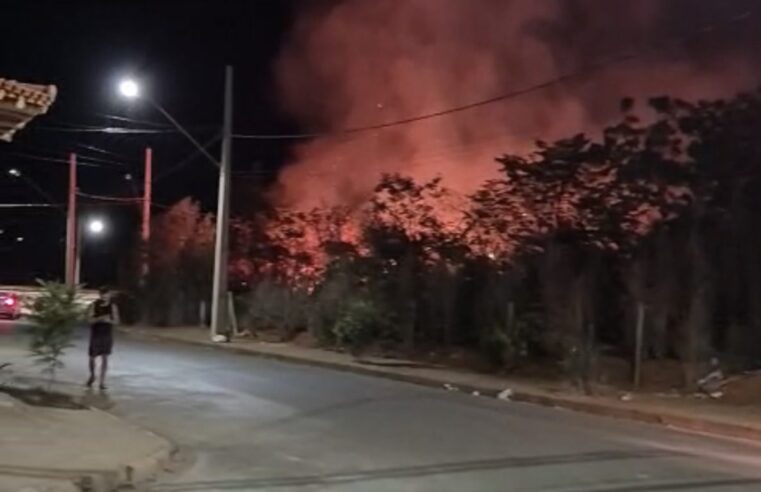 Bombeiros controlam incêndio em vegetação às margens de rodovia e evitam propagação das chamas