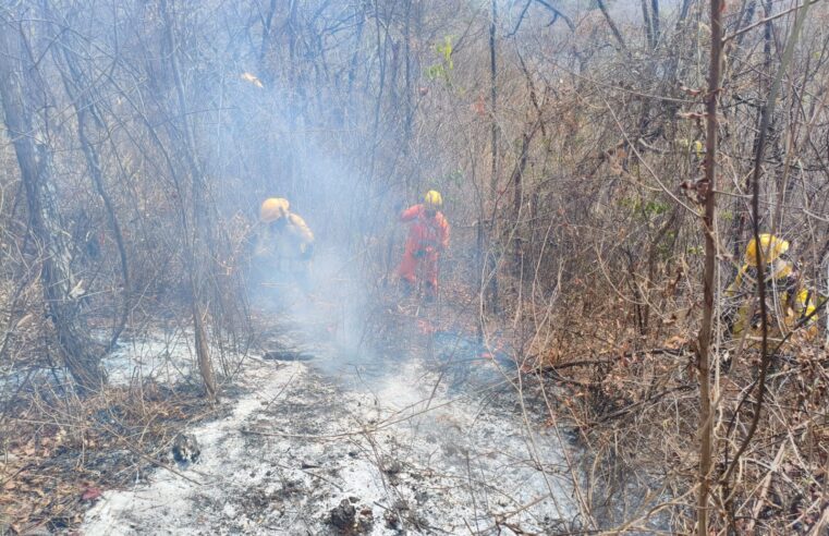 Incêndio na área de proteção do Parque Estadual da Lapa Grande entra em fase de monitoramento