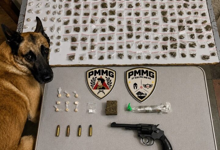 CÃO FAREJADOR DECISIVO | PM flagra traficante armado no Antônio Pimenta