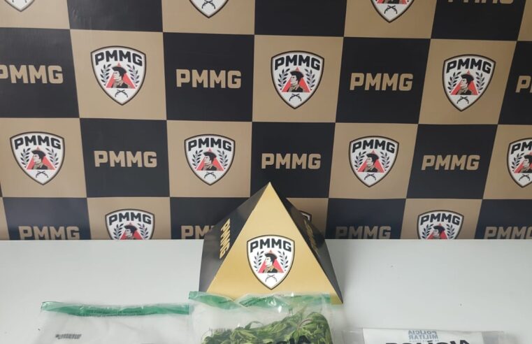 Polícia Militar prende suspeito por cultivo de drogas e crime ambiental em Gouveia