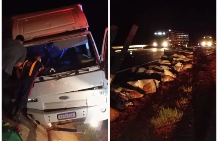 Caminhão perde freios e tomba na Serra de Bocaiuva; motorista fica ferido