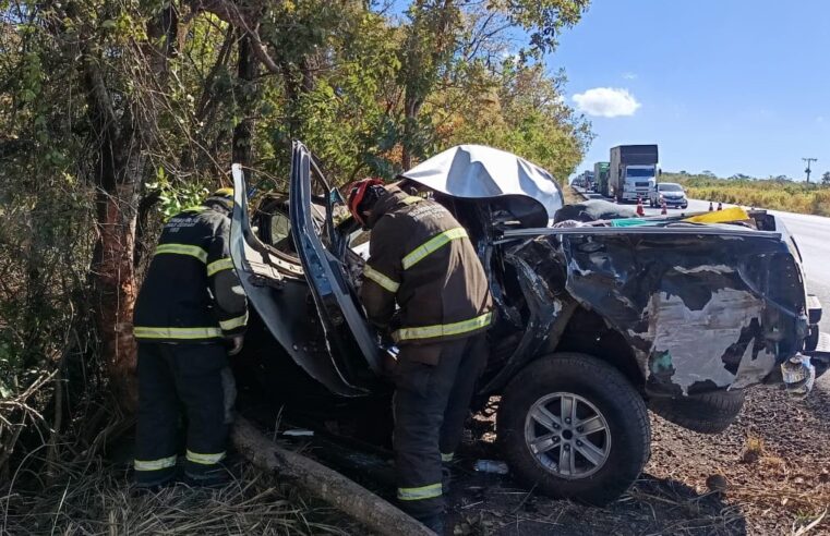 Homem morre após caminhonete bater em árvore na BR-135, em Bocaiuva