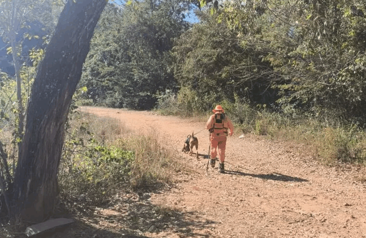 Com apoio de cão farejador, bombeiros resgatam homem desaparecido na zona rural de Montes Claros