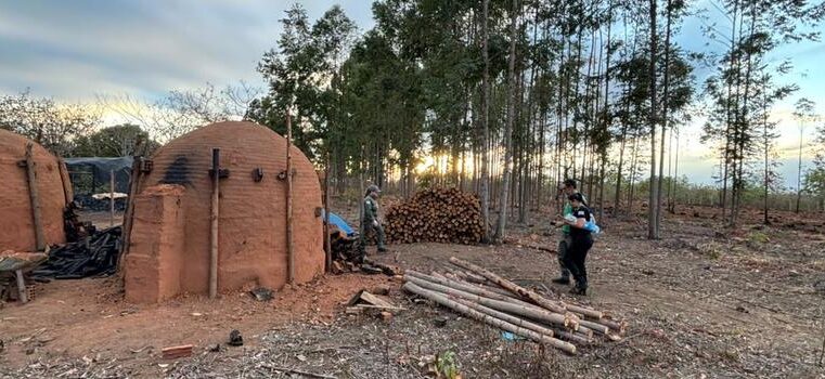 Operação conjunta mira crimes ambientais no Vale do Jequitinhonha