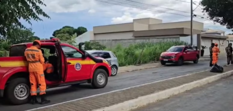 Homem morre após ataque de abelhas em Várzea da Palma