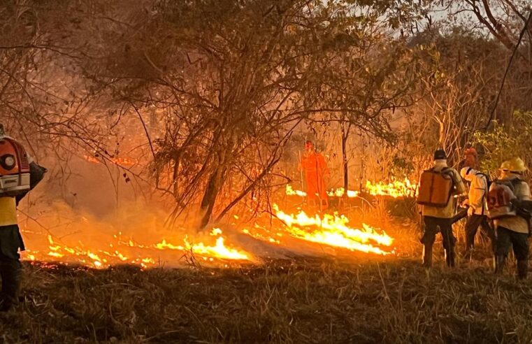 MONTES CLAROS | Bombeiros seguem no 3º dia de combate a incêndio no Parque Estadual de Lapa Grande