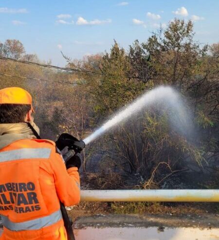 Incêndio atinge área de vegetação às margens do cais em Januária