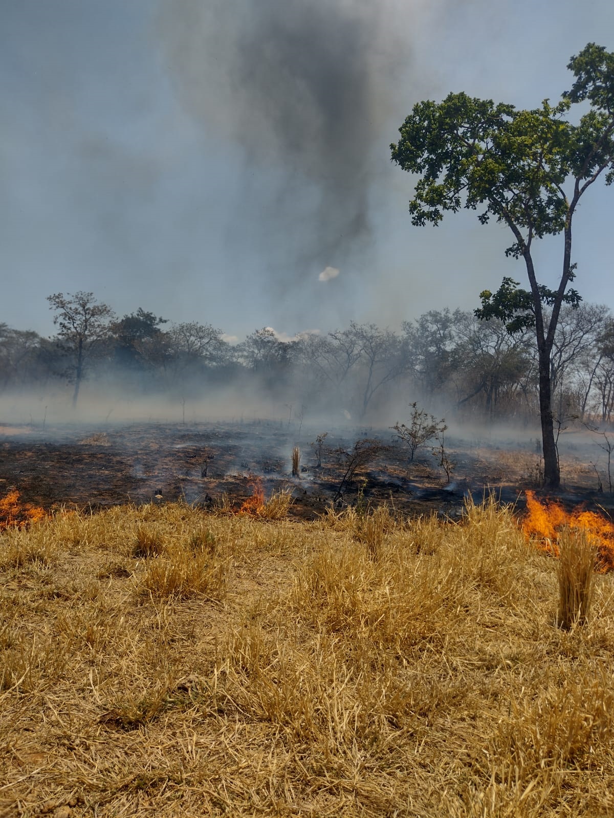 Posto Avançado de Bombeiros em Francisco Sá atende ocorrência de incêndio em área rural