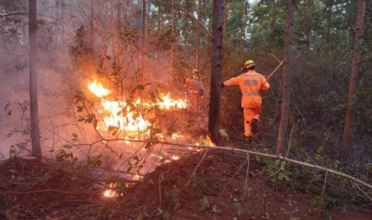 Incêndio destrói 110 hectares de plantação e cerrado em Bocaiuva