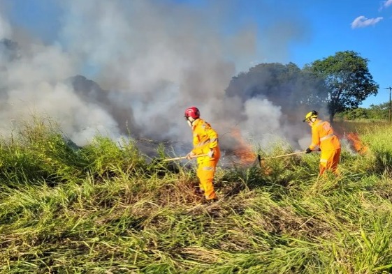 Corpo de Bombeiros atendem ocorrência de incêndio florestal em Francisco Sá