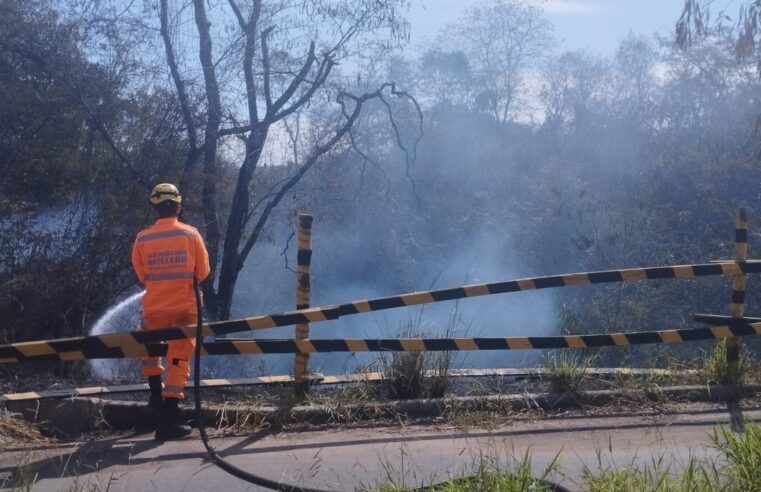 Vegetação é atingida por incêndio, em Montes Claros