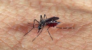 Secretaria de Saúde confirma morte de adolescente e de idoso por dengue, em Montes Claros