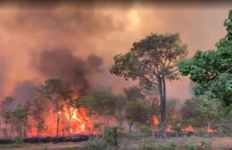 Incêndio de grande proporção atinge área na zona rural de Grão Mogol