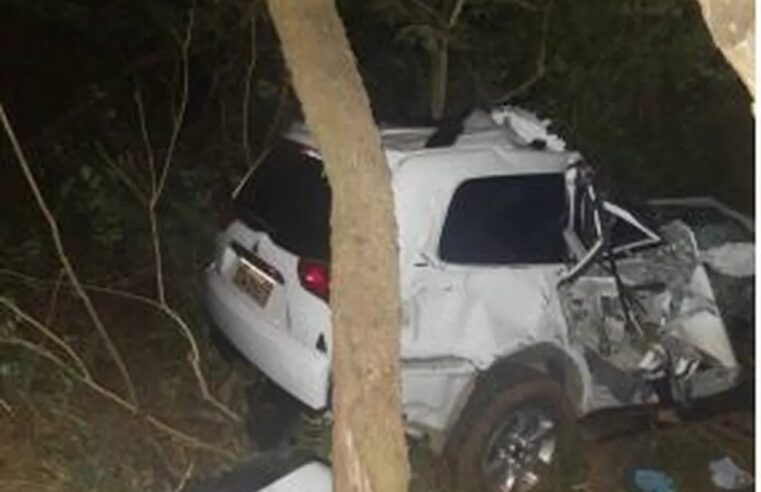 MGC-122 | Mulher morre após veículo colidir contra árvore em Capitão Enéas